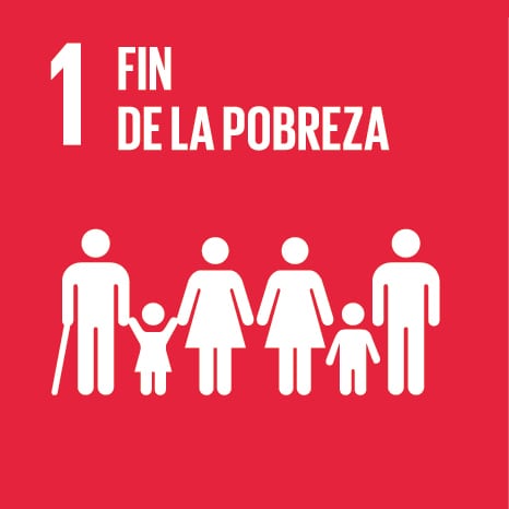 Icono 1 - Fin de la pobreza