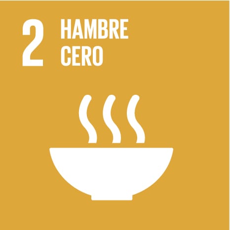 Icono 2 - Hambre cero