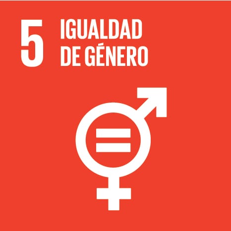 Icono 5 - Igualdad de género