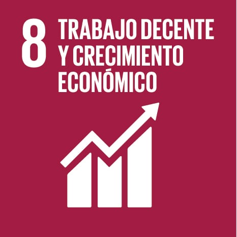 Icono 8 - Trabajo decente y crecimiento económico