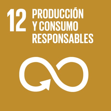 Icono 12 - Producción y consumo responsables