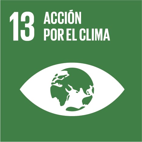 Icono 13 - Acción por el clima