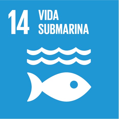 Icono 14 - Vida submarina