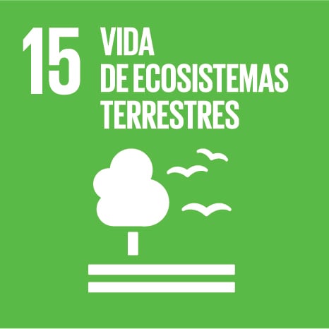 Icono 15 - Vida de ecosistemas terrestres