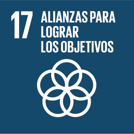Icono 17 - Alianzas para lograr objetivos