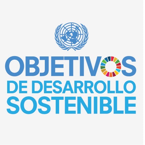 Logotipo Objetivos de Desarrollo Sostenible